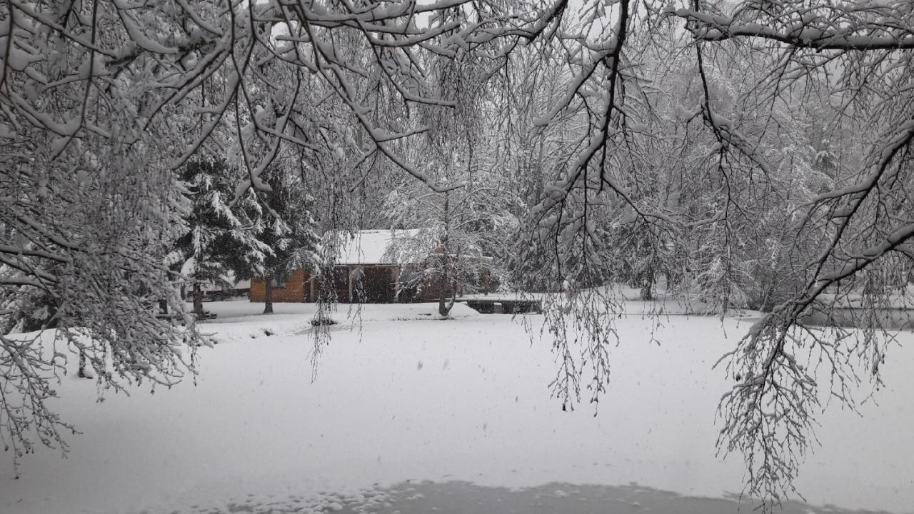 Insolite Chalet De Peche Serenite - Bien Etre Ban-sur-Meurthe-Clefcy Kültér fotó