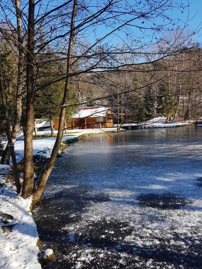 Insolite Chalet De Peche Serenite - Bien Etre Ban-sur-Meurthe-Clefcy Kültér fotó