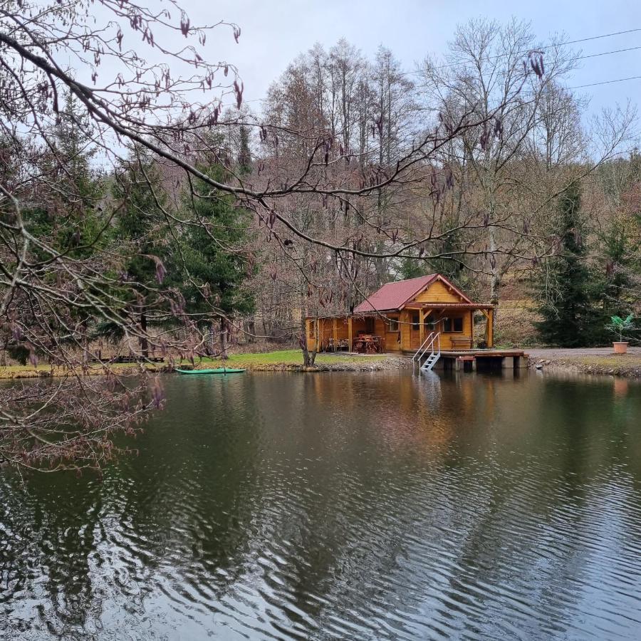 Insolite Chalet De Peche Serenite - Bien Etre Ban-sur-Meurthe-Clefcy Kültér fotó