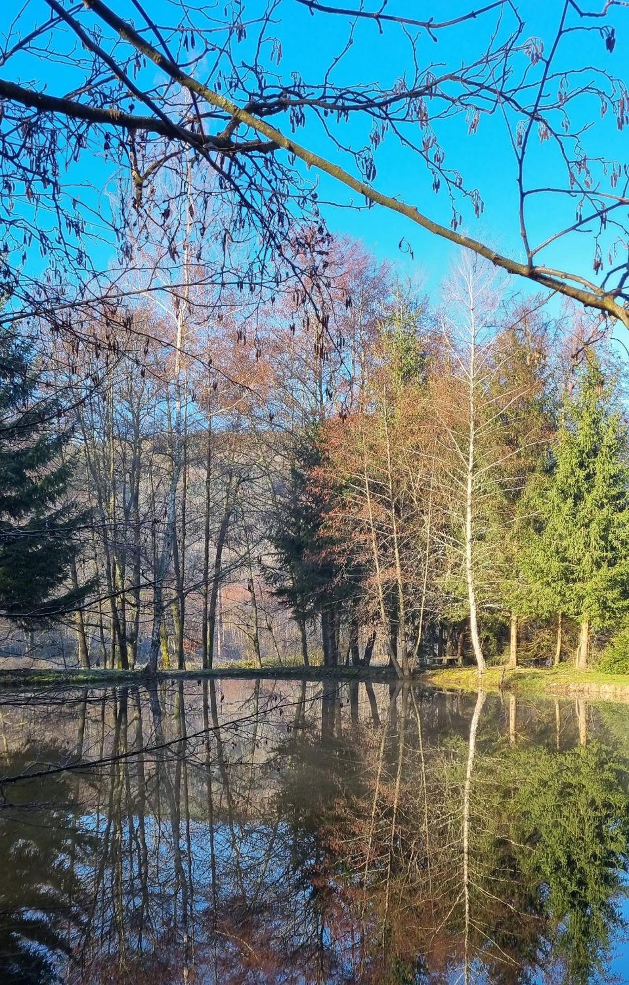 Insolite Chalet De Peche Serenite - Bien Etre Ban-sur-Meurthe-Clefcy Kültér fotó